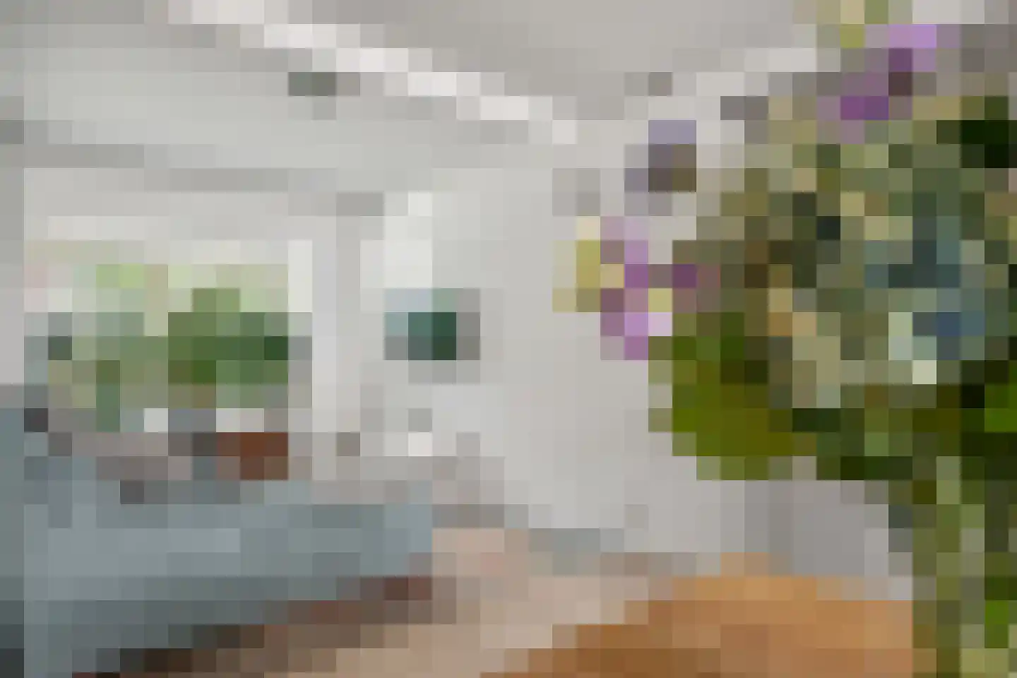 Korhoenlaan 35 Bilthoven thumbnail 6