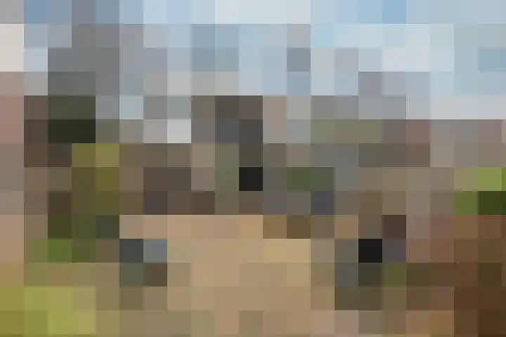 Korhoenlaan 38 Zeist thumbnail 22