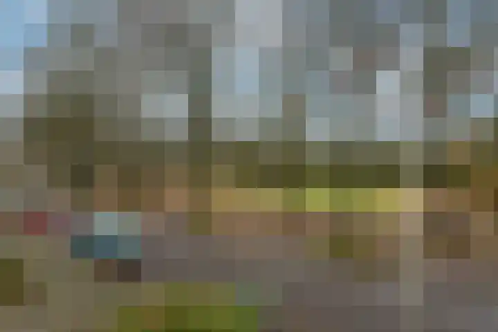 Korhoenlaan 38 Zeist thumbnail 36