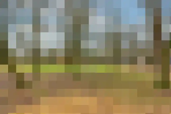Korhoenlaan 38 Zeist thumbnail 37
