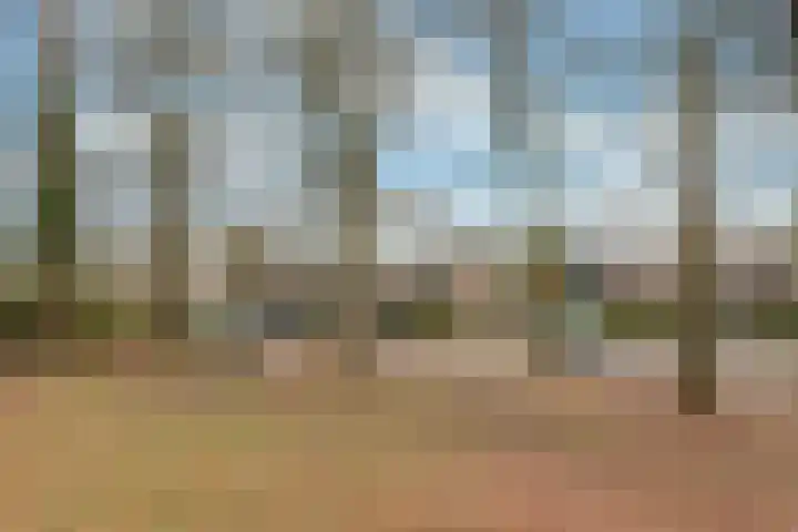 Korhoenlaan 38 Zeist thumbnail 39