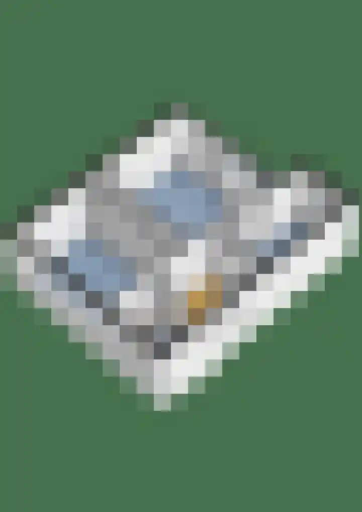 Korhoenlaan 38 Zeist thumbnail 45