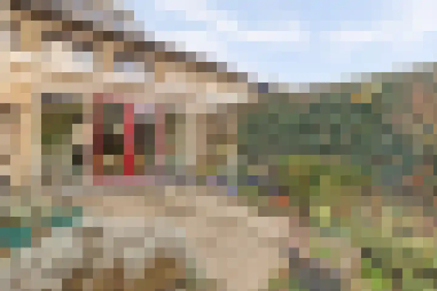 Korhoenlaan 6 Beuningen Gld thumbnail 41