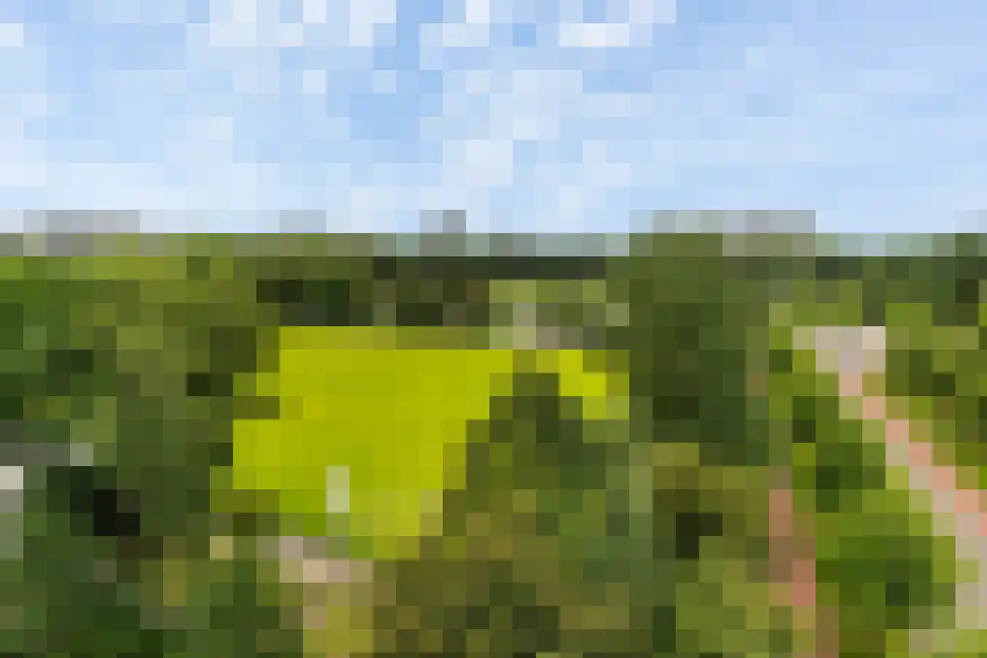 Korhoenlaan 60 Vlaardingen thumbnail 13