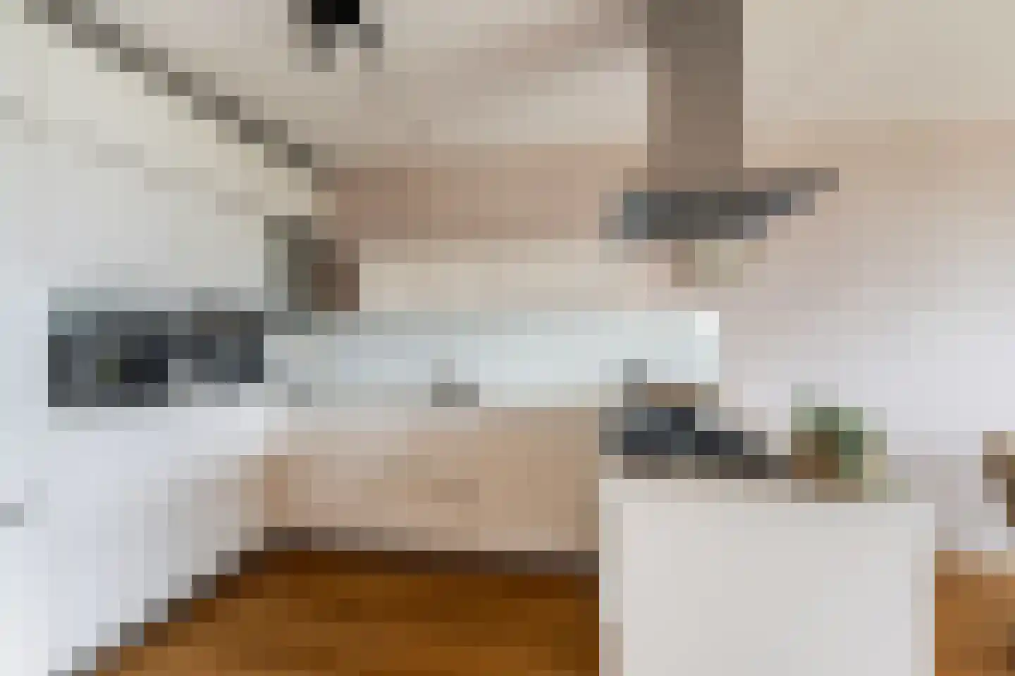 Korhoenlaan 60 Vlaardingen thumbnail 7