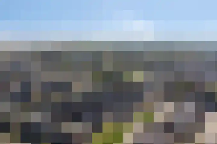 Korhoenlaan 61 Beuningen Gld thumbnail 31