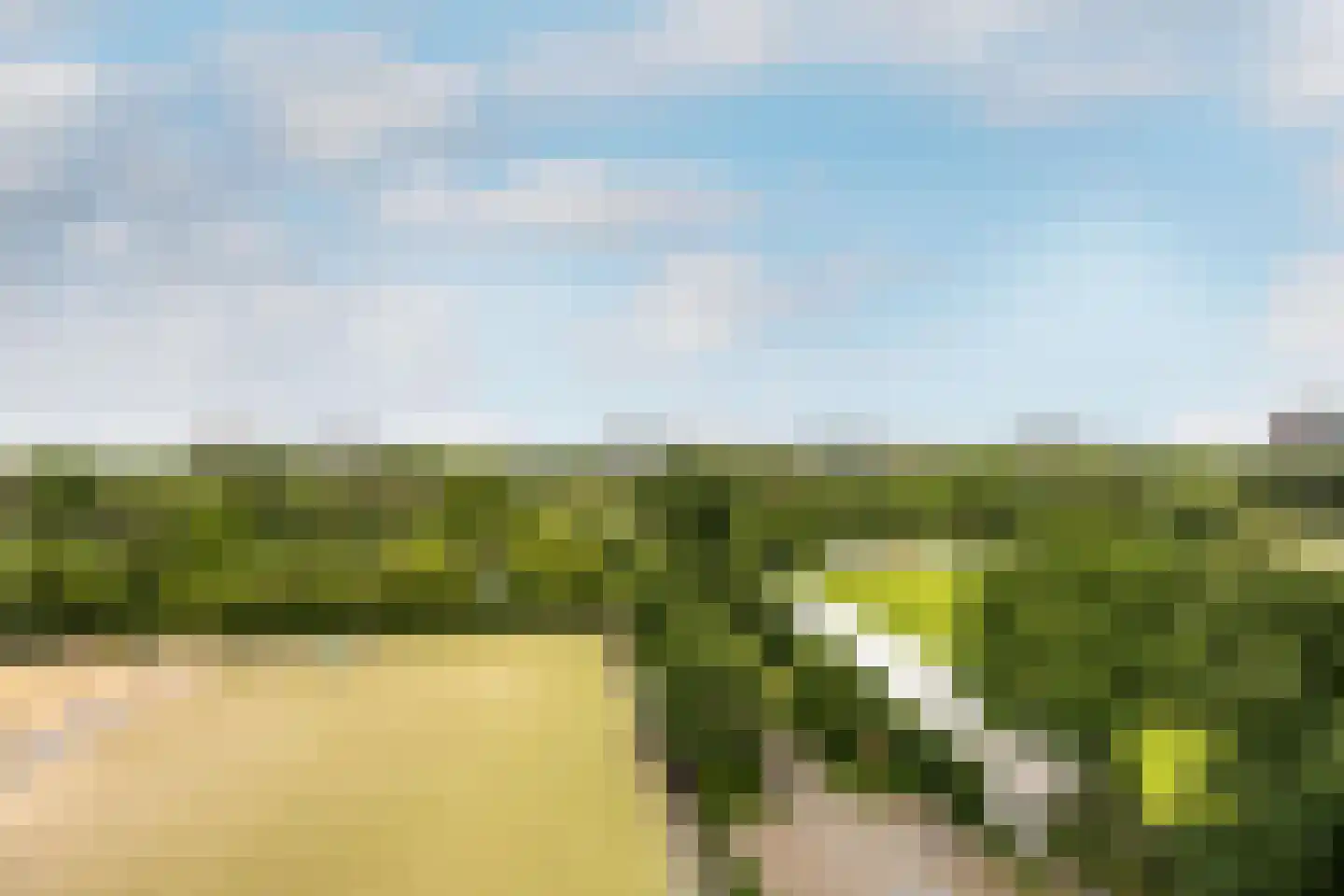 Korhoenlaan 66 Vlaardingen thumbnail 30