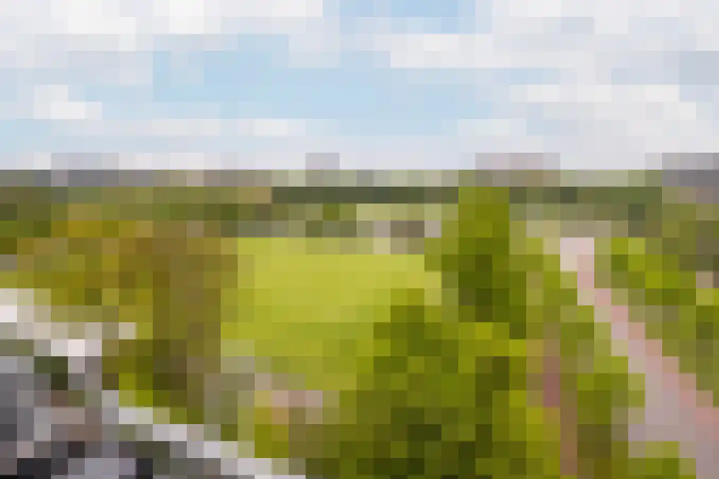Korhoenlaan 66 Vlaardingen thumbnail 46