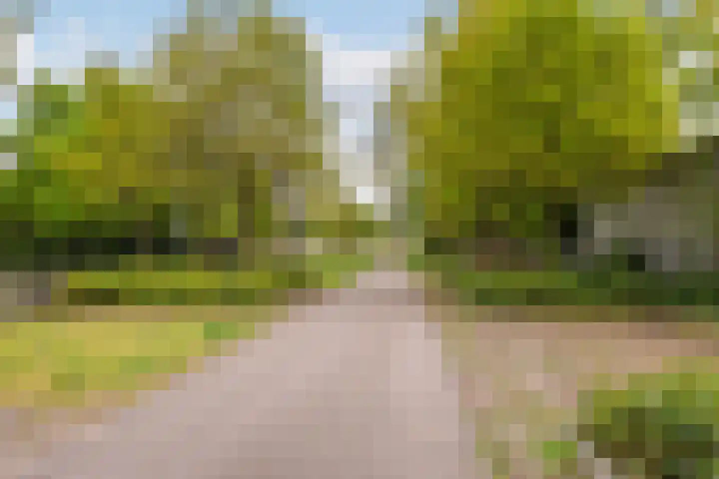 Korhoenlaan 66 Vlaardingen thumbnail 49
