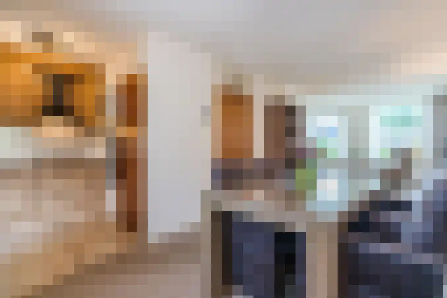 Korhoensingel 23 Vroomshoop thumbnail 10