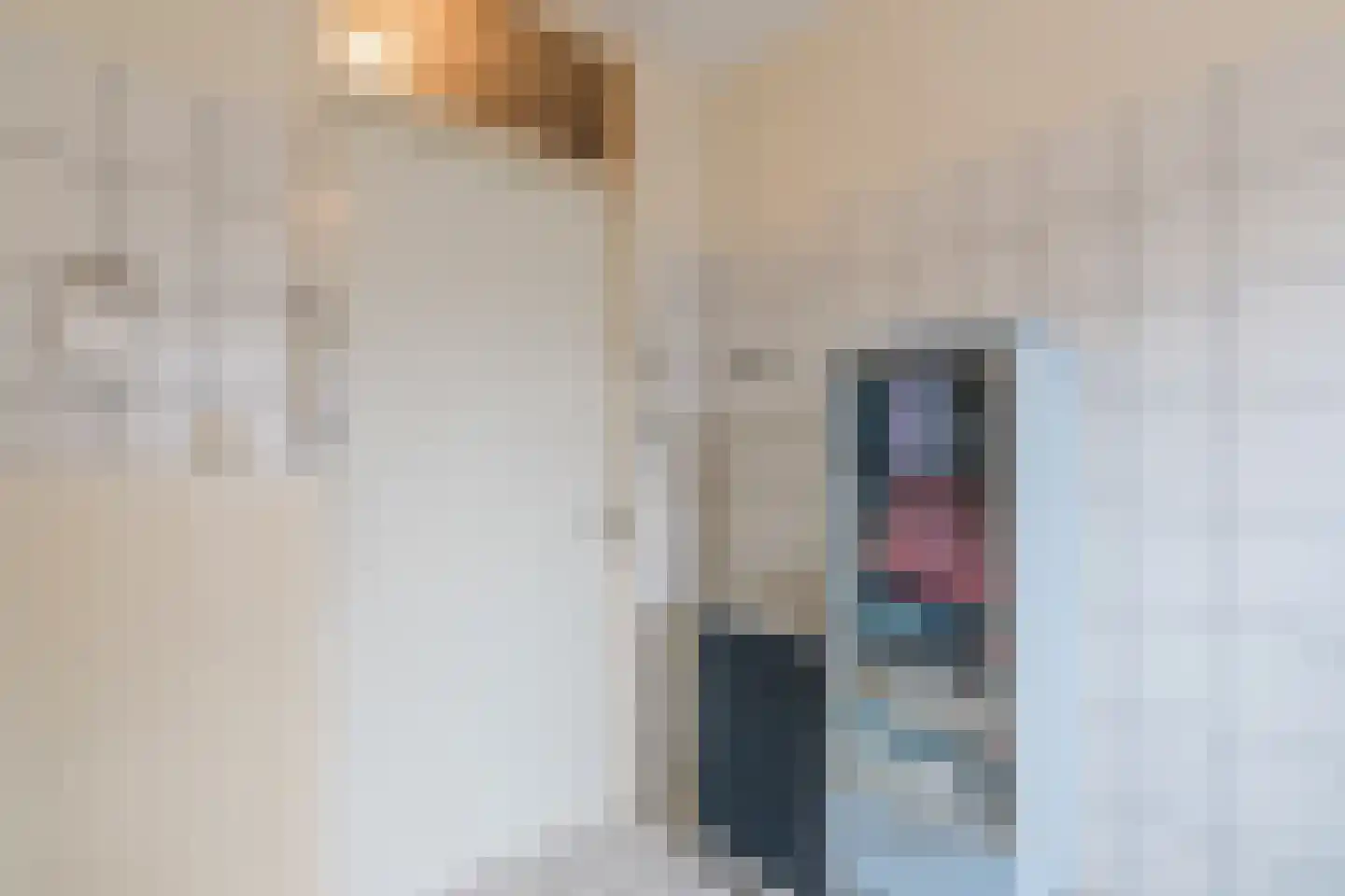 Korhoensingel 23 Vroomshoop thumbnail 26