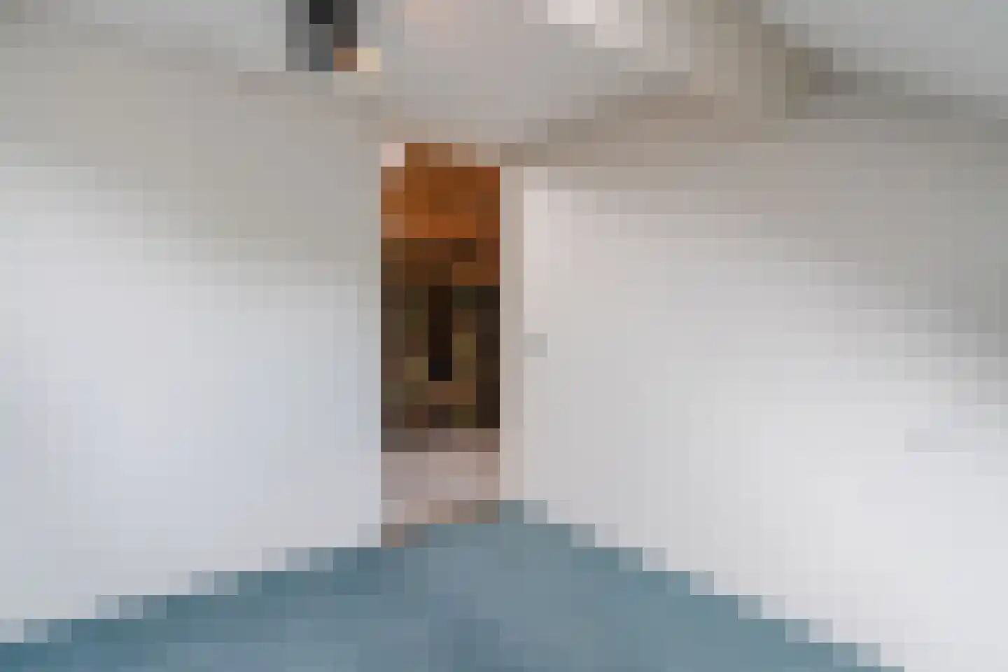 Korhoensingel 23 Vroomshoop thumbnail 29