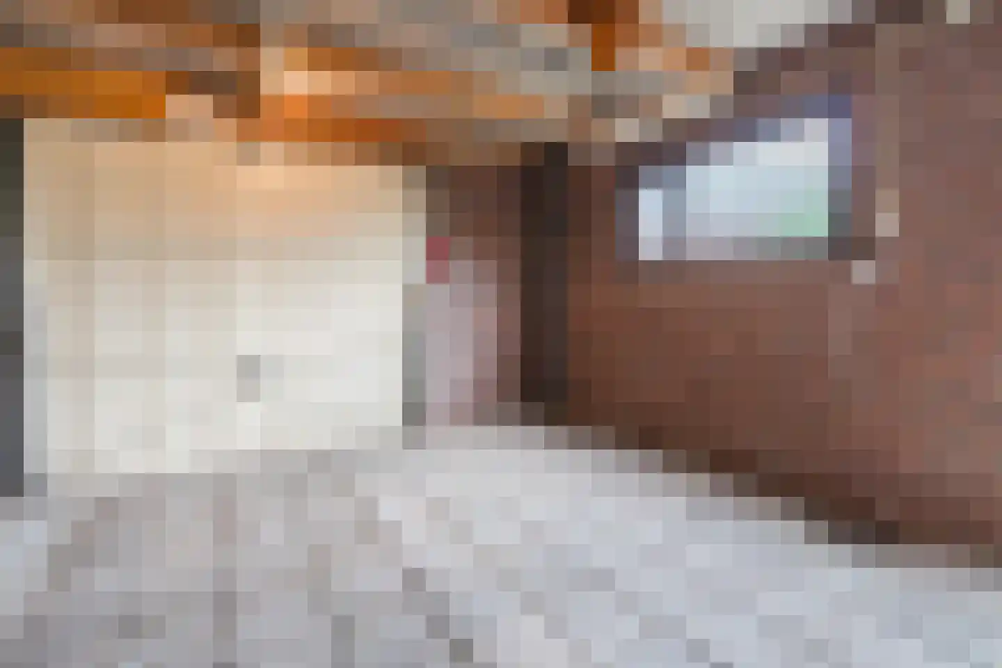Korhoensingel 23 Vroomshoop thumbnail 39