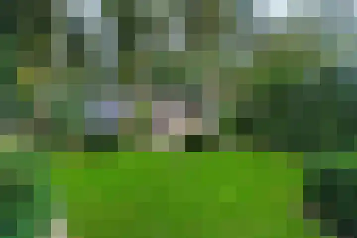 Korhoenstraat 18 Gennep thumbnail 33