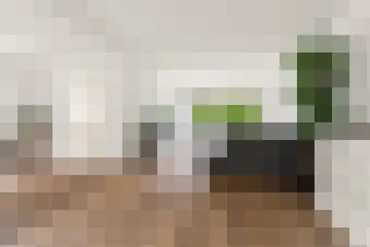 Korhoenstraat 18 Gennep thumbnail 9