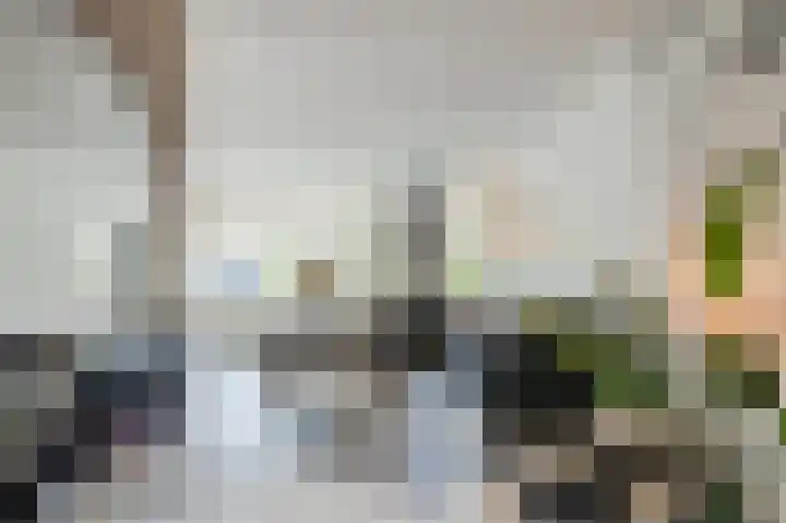 Korhoenstraat 21 Goor thumbnail 10