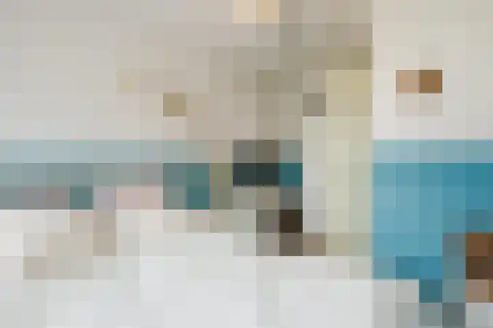 Korhoenstraat 21 Goor thumbnail 31