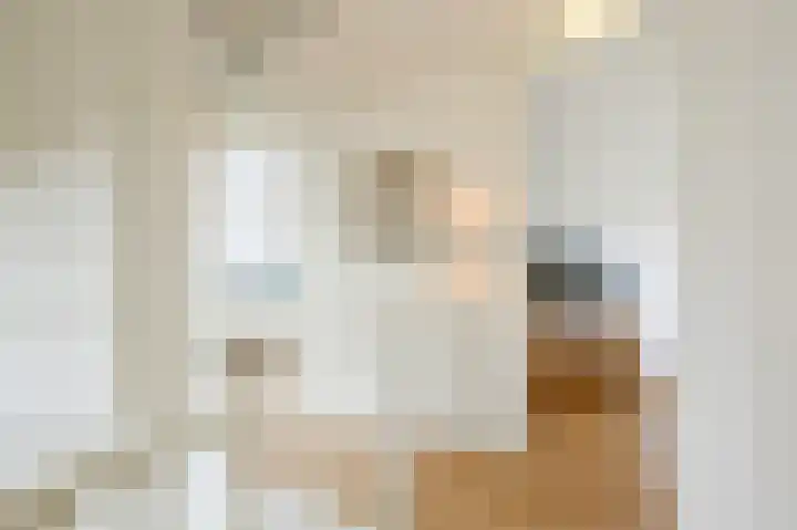 Korhoenstraat 21 Goor thumbnail 37