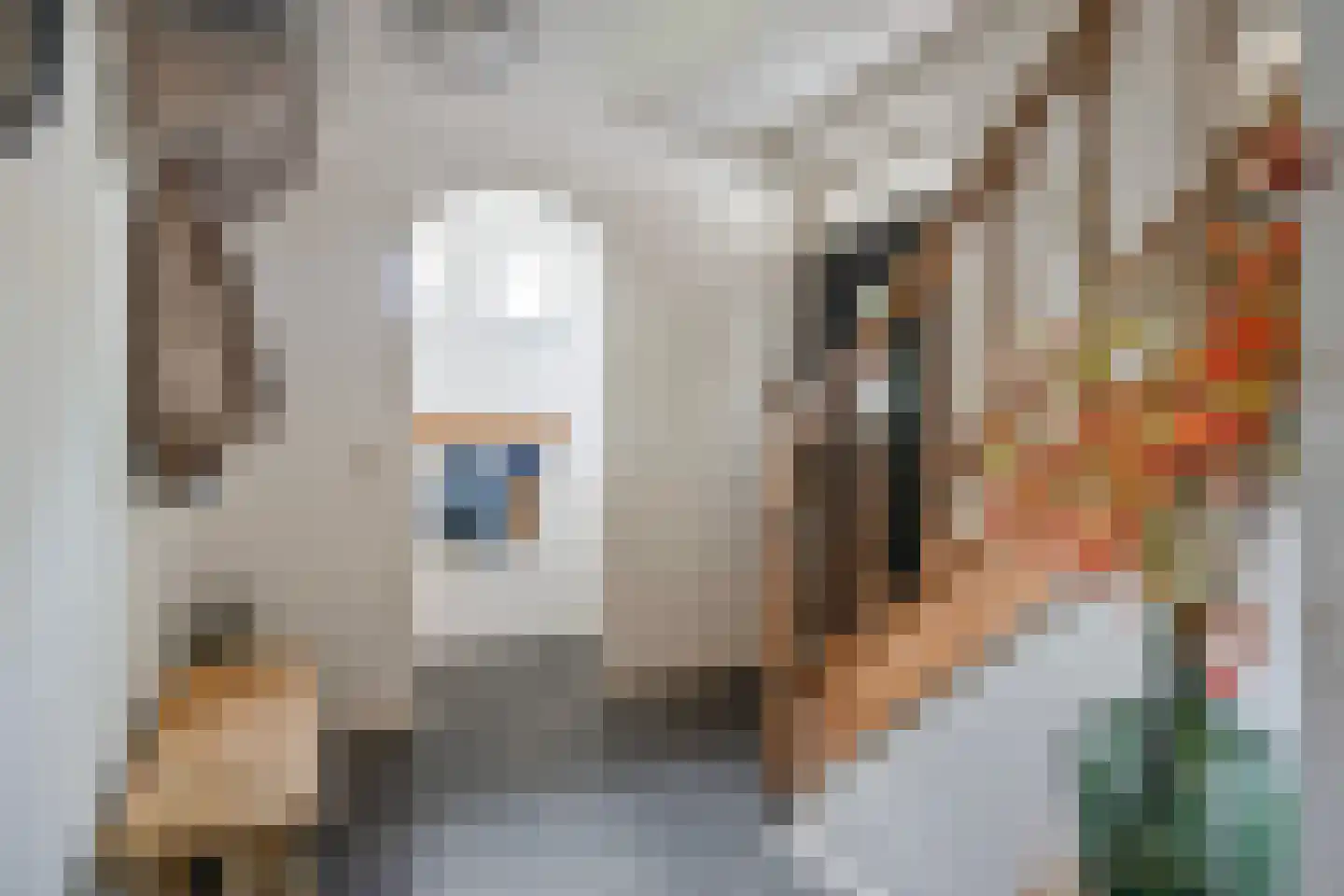 Korhoenstraat 25 De Rips thumbnail 10