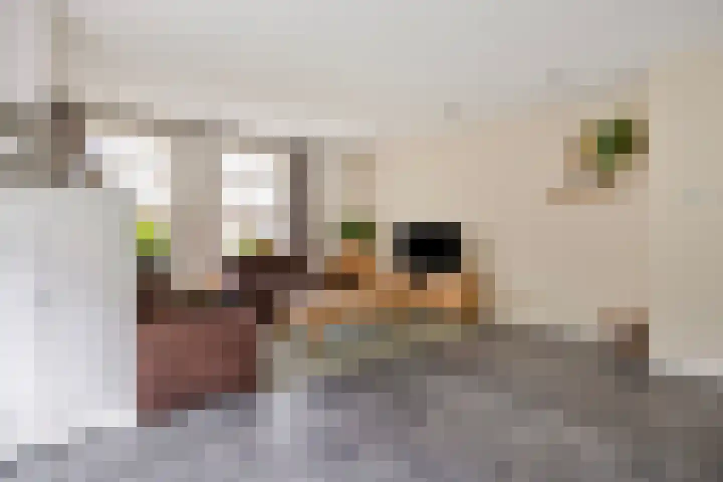 Korhoenstraat 25 De Rips thumbnail 12