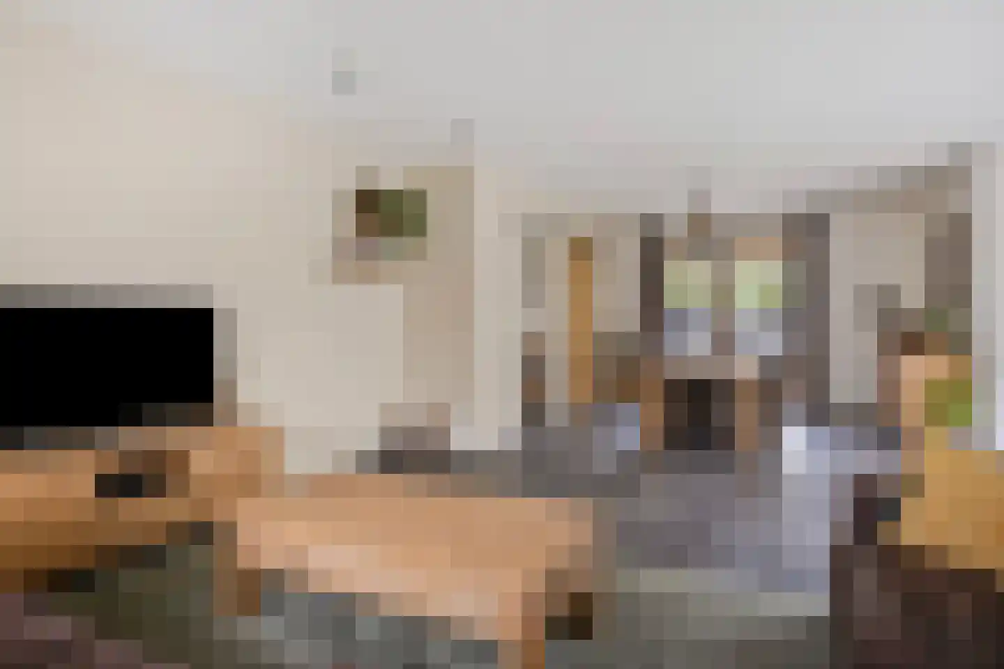 Korhoenstraat 25 De Rips thumbnail 13