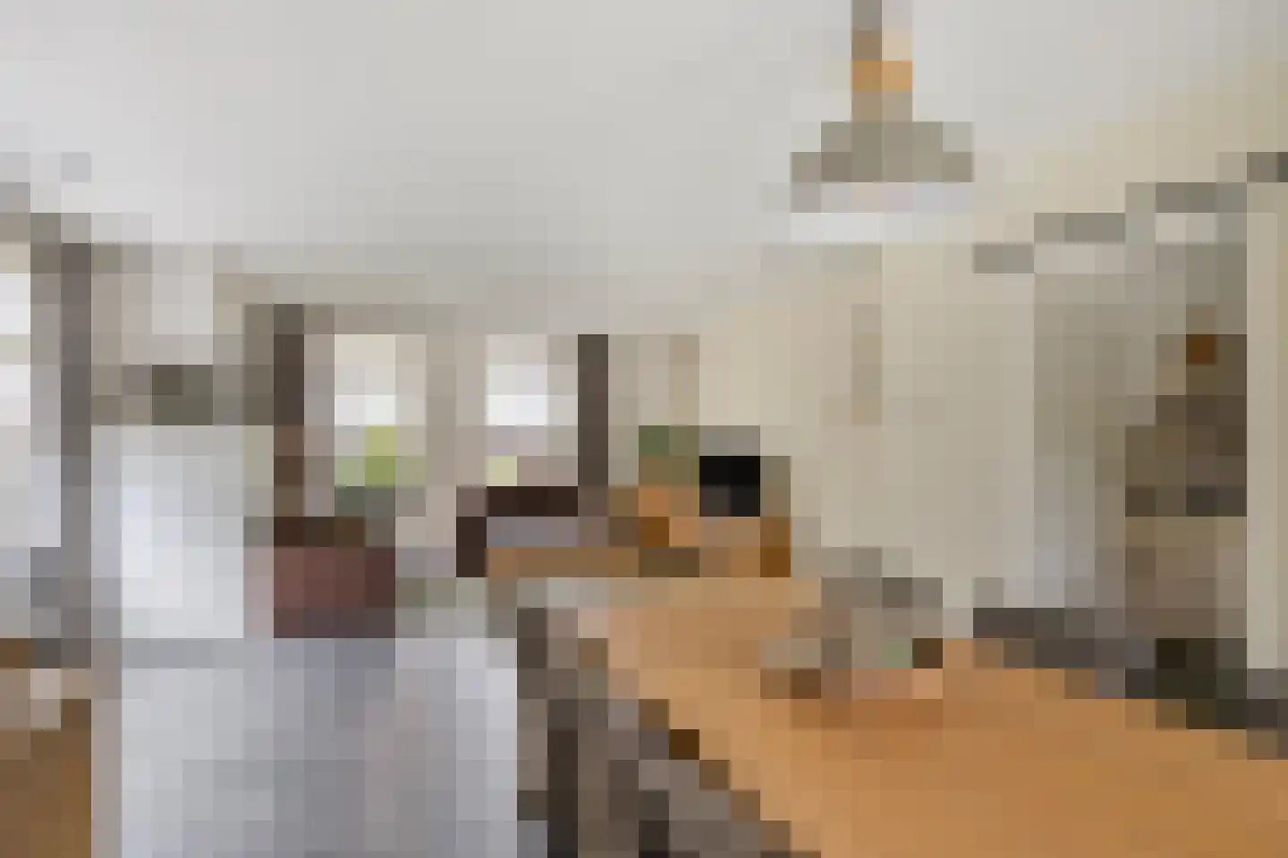 Korhoenstraat 25 De Rips thumbnail 15