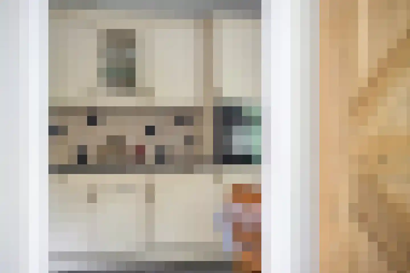 Korhoenstraat 25 De Rips thumbnail 17