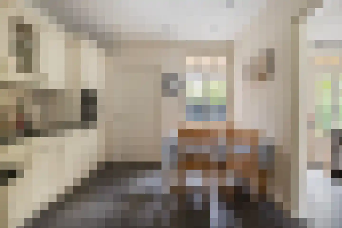 Korhoenstraat 25 De Rips thumbnail 19