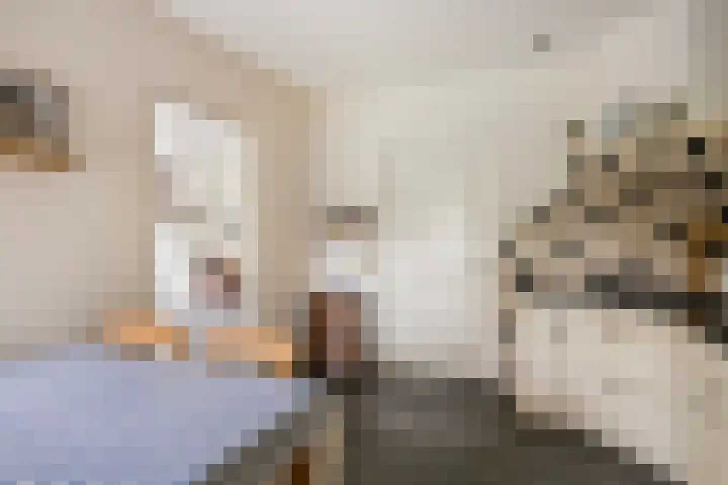 Korhoenstraat 25 De Rips thumbnail 20