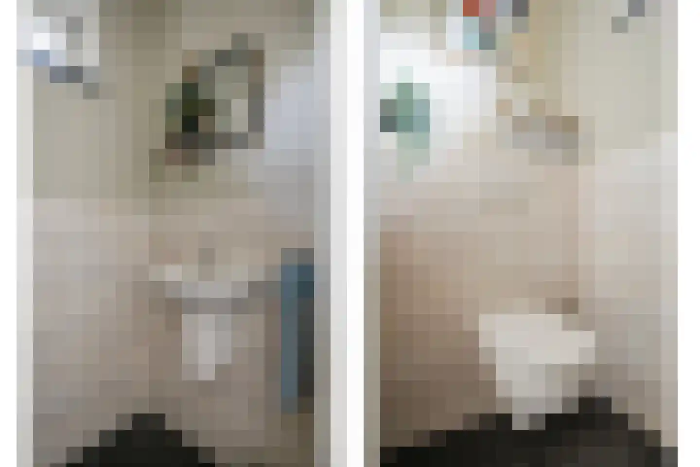 Korhoenstraat 25 De Rips thumbnail 22
