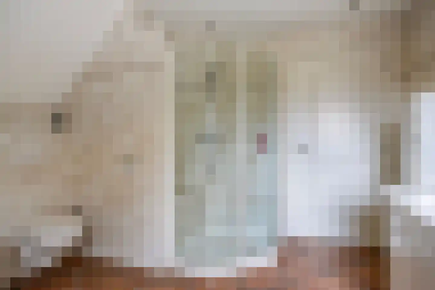 Korhoenstraat 25 De Rips thumbnail 27