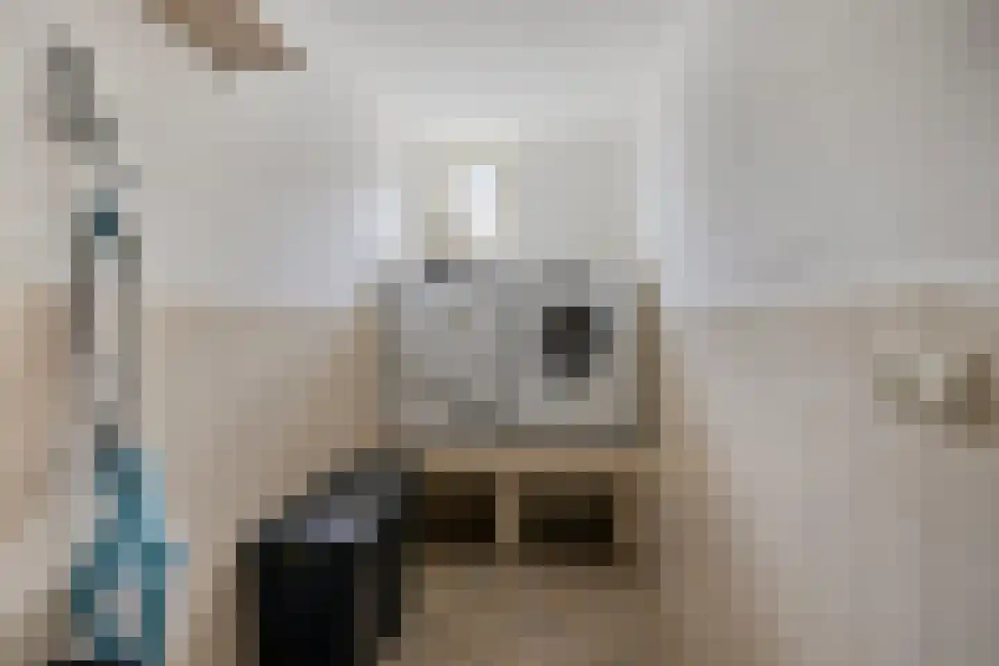 Korhoenstraat 25 De Rips thumbnail 29