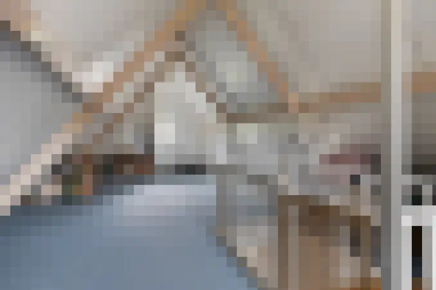 Korhoenstraat 25 De Rips thumbnail 35