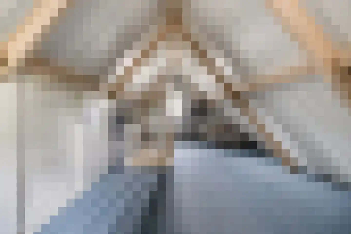 Korhoenstraat 25 De Rips thumbnail 36