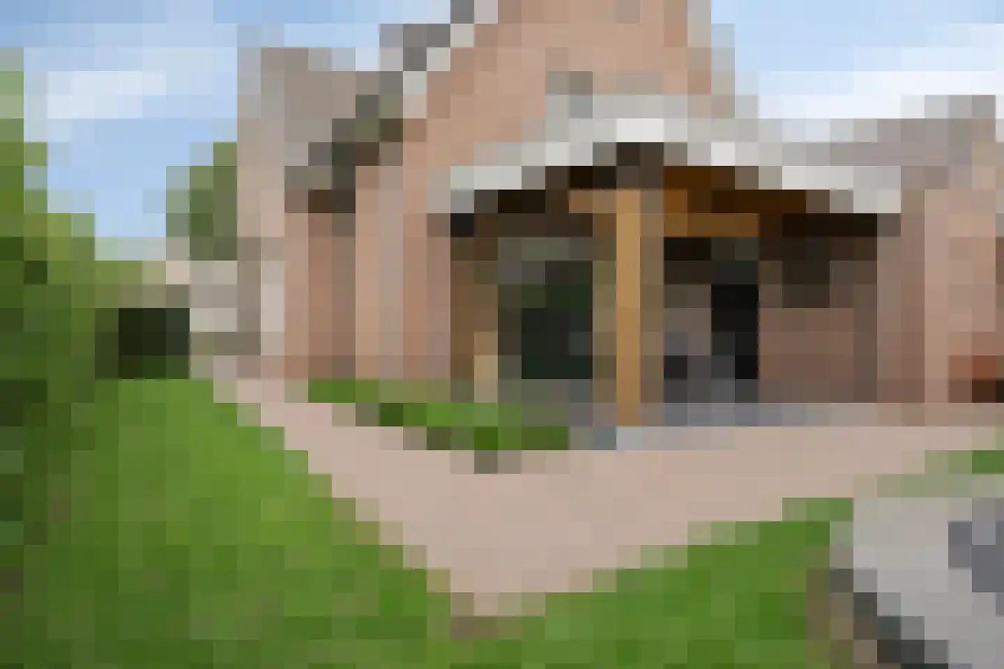 Korhoenstraat 25 De Rips thumbnail 38