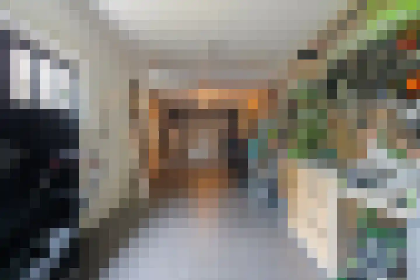 Korhoenstraat 25 De Rips thumbnail 42