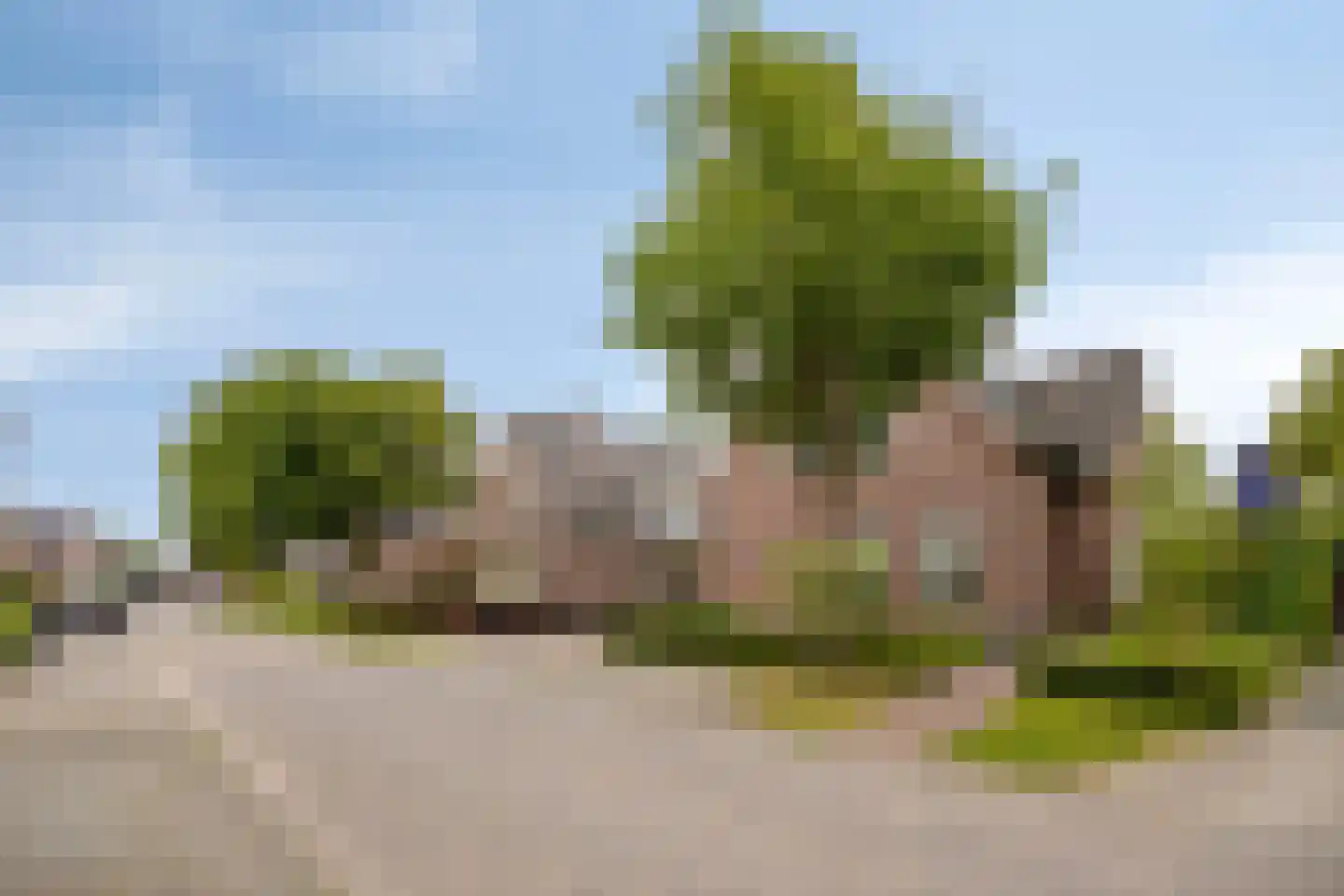 Korhoenstraat 25 De Rips thumbnail 8