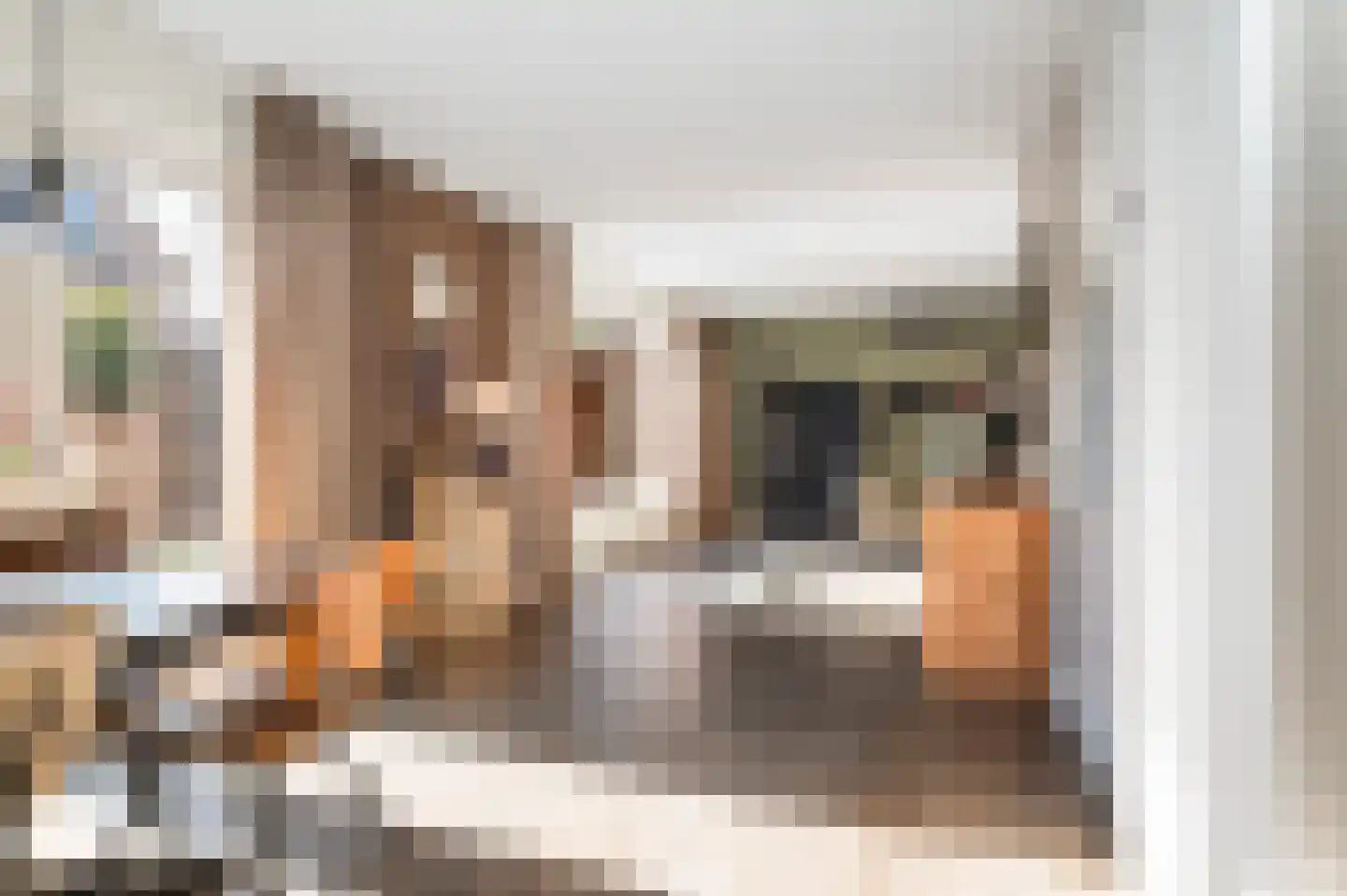 Korhoenstraat 25 Goor thumbnail 11