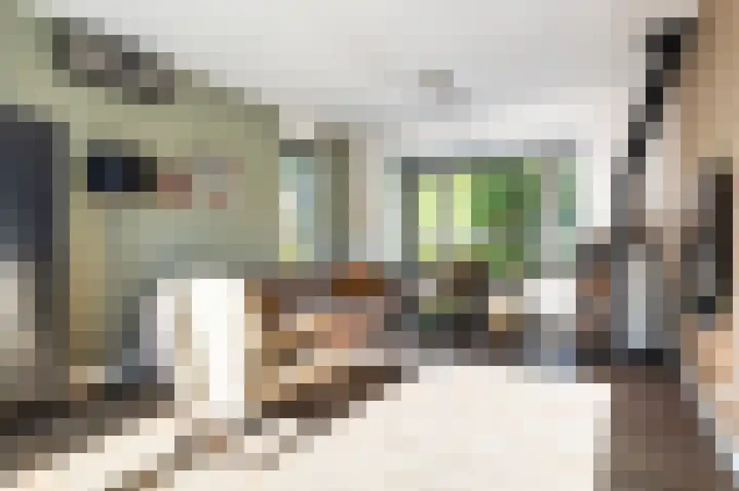 Korhoenstraat 25 Goor thumbnail 12