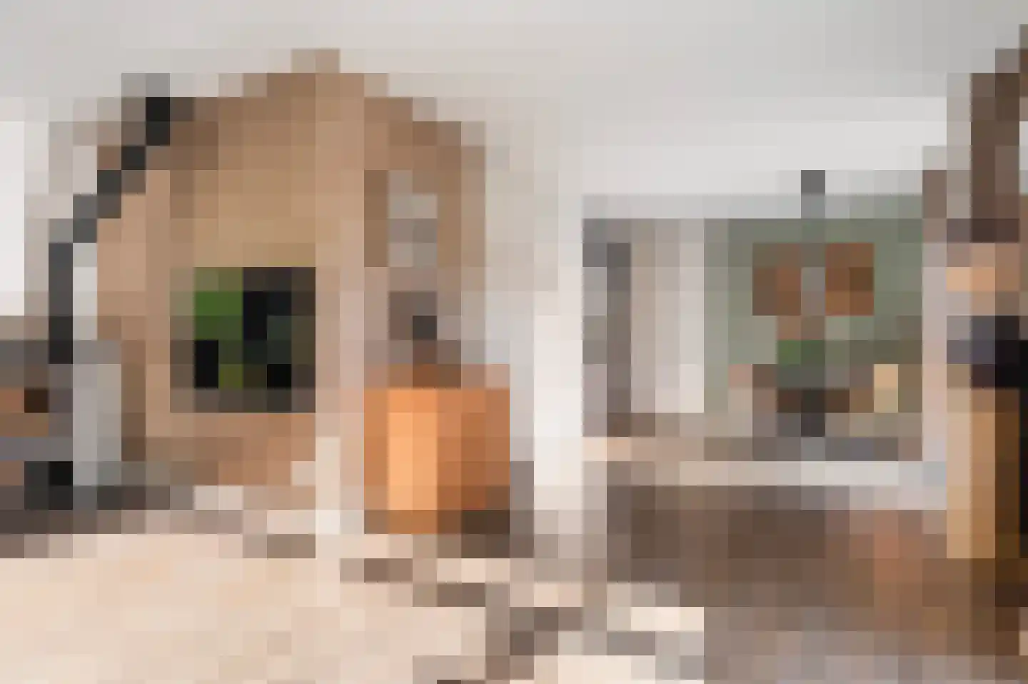 Korhoenstraat 25 Goor thumbnail 13