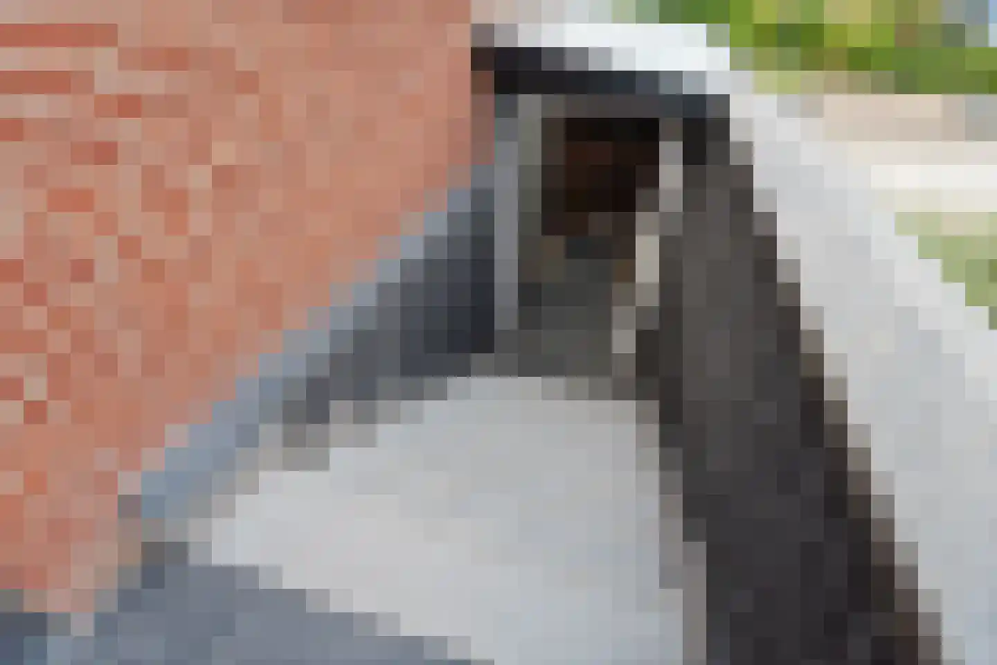Korhoenstraat 32 Gennep thumbnail 24
