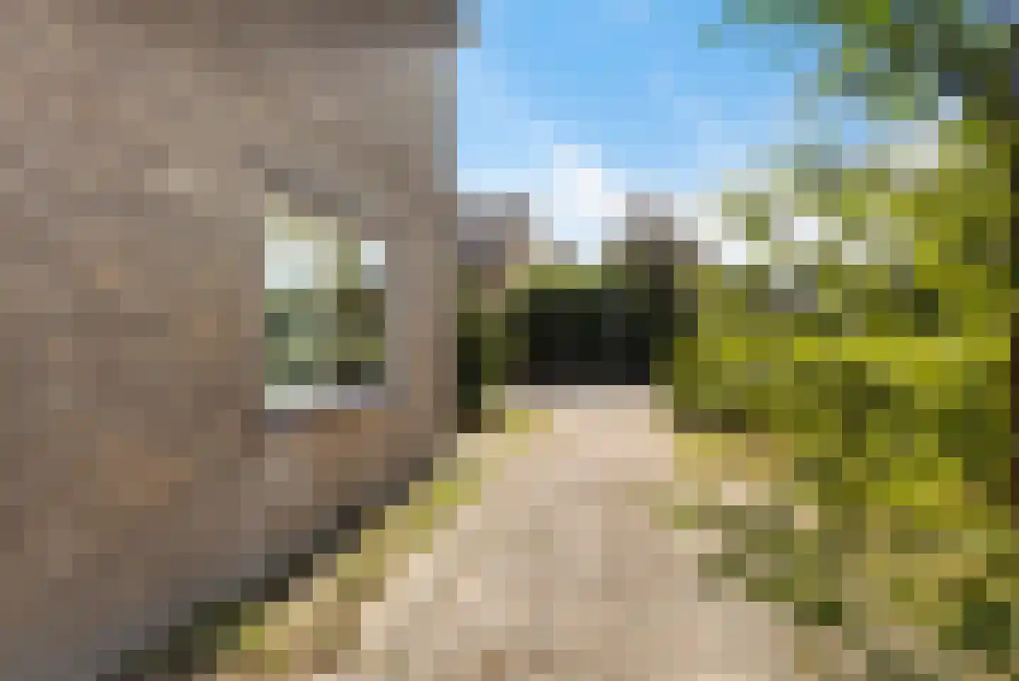 Korhoenstraat 33 Amersfoort thumbnail 39