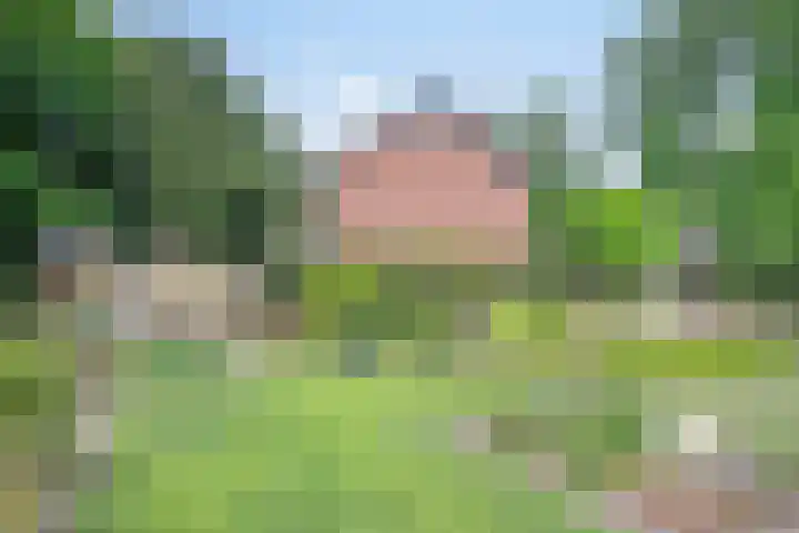 Korhoenstraat 36 Gennep thumbnail 41