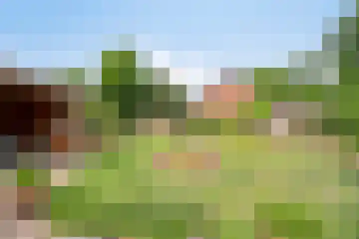 Korhoenstraat 36 Gennep thumbnail 42