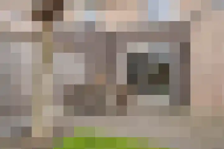 Korhoenstraat 43 Goor thumbnail 30
