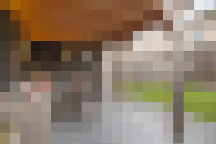 Korhoenstraat 43 Goor thumbnail 32