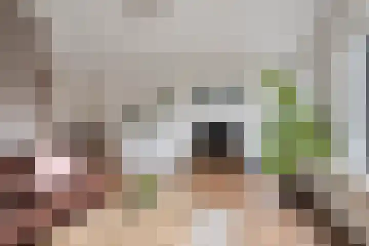 Korhoenstraat 43 Goor thumbnail 5