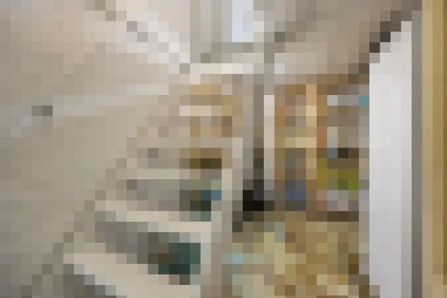 Korhoenstraat 7 Nijmegen thumbnail 31