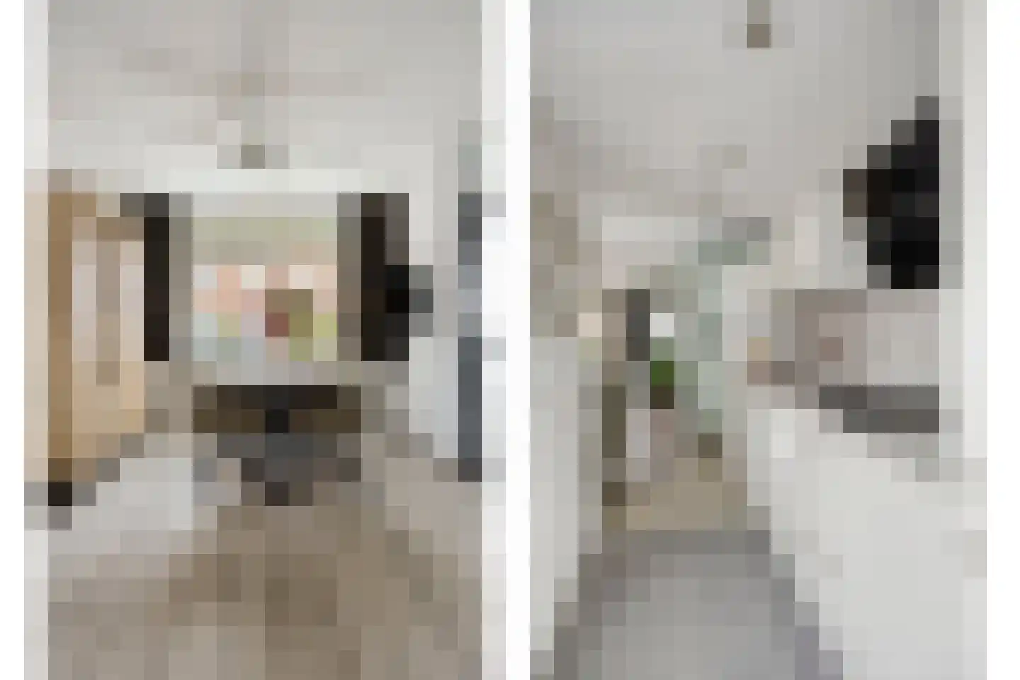 Korhoenstraat 73 Tilburg thumbnail 6