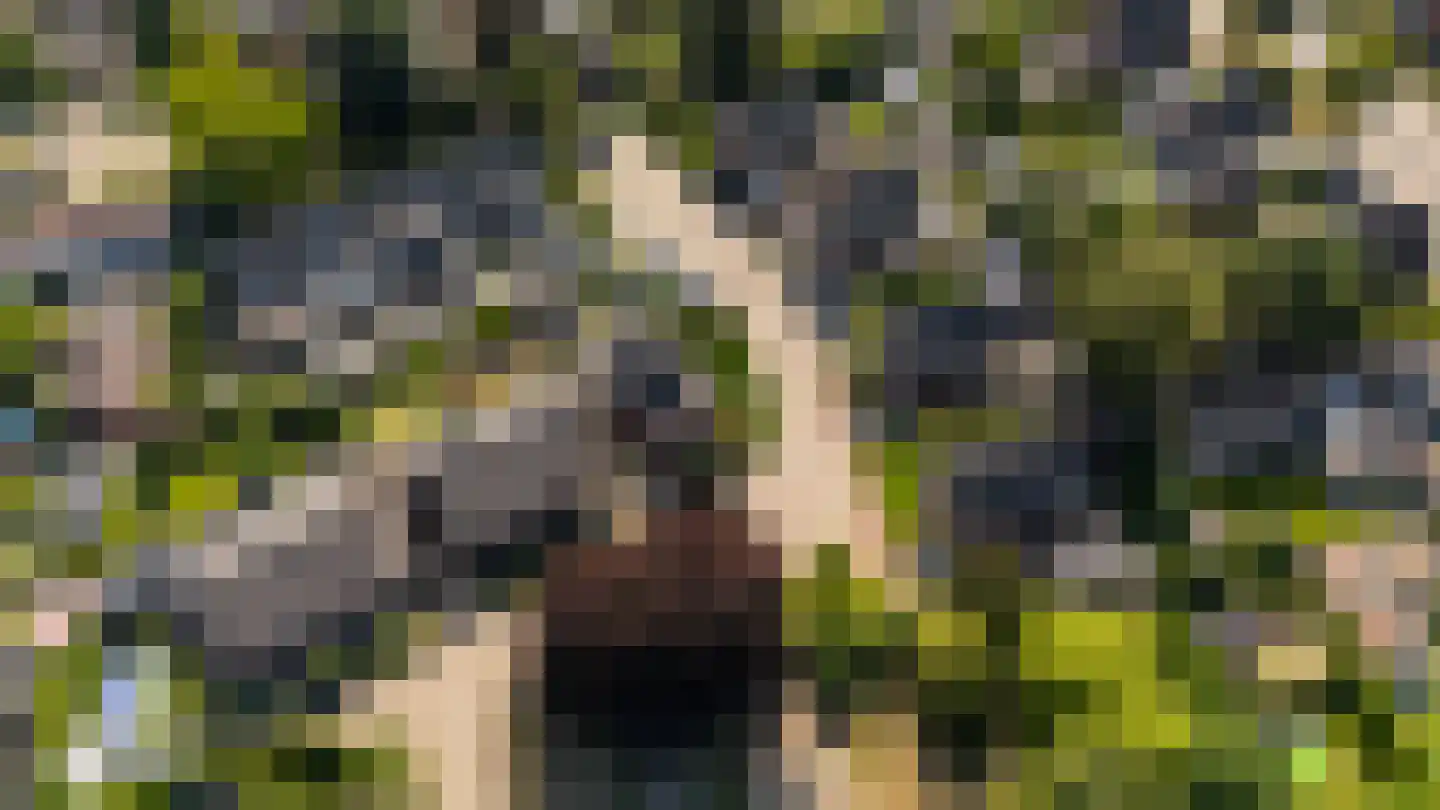 Korhoenweg 15 Epe thumbnail 31